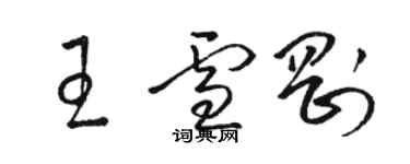 駱恆光王雪剛草書個性簽名怎么寫