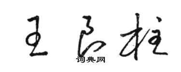 駱恆光王良柱草書個性簽名怎么寫
