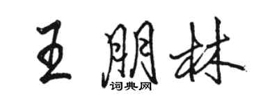 駱恆光王朋林行書個性簽名怎么寫
