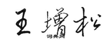 駱恆光王增松行書個性簽名怎么寫