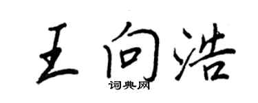 王正良王向浩行書個性簽名怎么寫