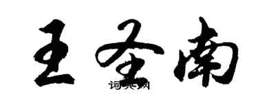 胡問遂王聖南行書個性簽名怎么寫