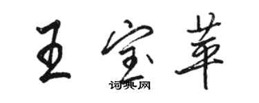 駱恆光王寶苹行書個性簽名怎么寫