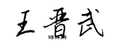 王正良王晉武行書個性簽名怎么寫