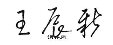 駱恆光王辰新草書個性簽名怎么寫