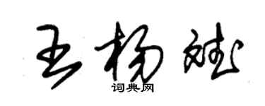 朱錫榮王楊斌草書個性簽名怎么寫