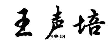 胡問遂王聲培行書個性簽名怎么寫