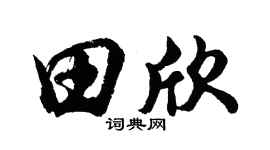 胡問遂田欣行書個性簽名怎么寫