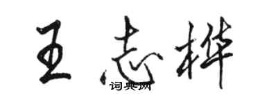 駱恆光王志樺行書個性簽名怎么寫