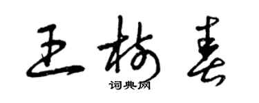 曾慶福王樹春草書個性簽名怎么寫