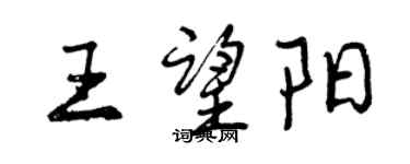 曾慶福王望陽行書個性簽名怎么寫