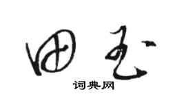 駱恆光田玉草書個性簽名怎么寫
