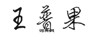 駱恆光王普果行書個性簽名怎么寫