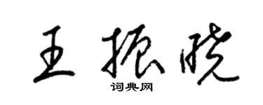 梁錦英王振曉草書個性簽名怎么寫