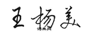 駱恆光王楊美行書個性簽名怎么寫