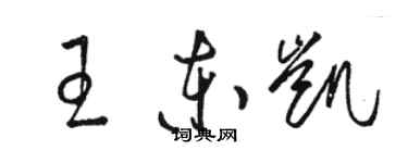 駱恆光王東凱草書個性簽名怎么寫