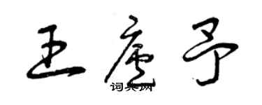 曾慶福王廬予草書個性簽名怎么寫