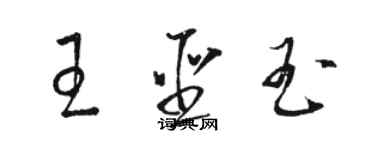 駱恆光王聖玉草書個性簽名怎么寫