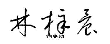 梁錦英林梓晨草書個性簽名怎么寫