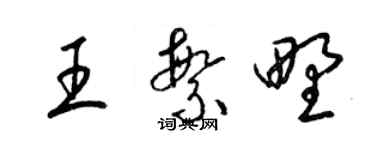 梁錦英王繁野草書個性簽名怎么寫