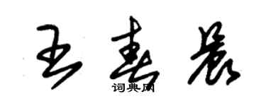 朱錫榮王春晨草書個性簽名怎么寫