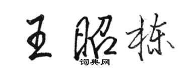 駱恆光王昭棟行書個性簽名怎么寫