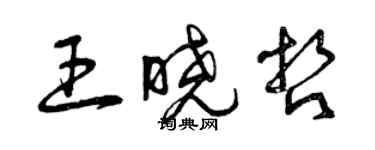 曾慶福王曉哲草書個性簽名怎么寫