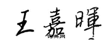 王正良王嘉暉行書個性簽名怎么寫