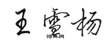 駱恆光王雪楊行書個性簽名怎么寫