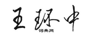 駱恆光王環中行書個性簽名怎么寫