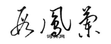 駱恆光段鳳蘭草書個性簽名怎么寫