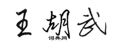 駱恆光王胡武行書個性簽名怎么寫