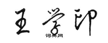 駱恆光王學印行書個性簽名怎么寫