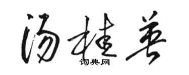 駱恆光湯桂英草書個性簽名怎么寫