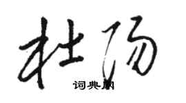 駱恆光杜陽草書個性簽名怎么寫