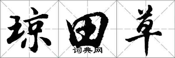 胡問遂瓊田草行書怎么寫