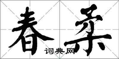 翁闓運春柔楷書怎么寫