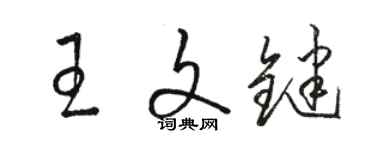 駱恆光王文鍵草書個性簽名怎么寫