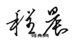 駱恆光程晨草書個性簽名怎么寫