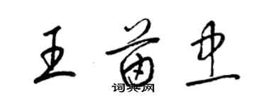 梁錦英王苗忠草書個性簽名怎么寫