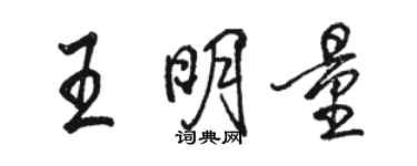 駱恆光王明量行書個性簽名怎么寫