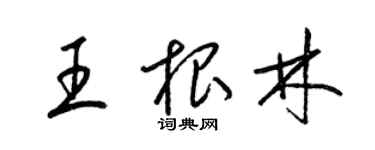 梁錦英王根林草書個性簽名怎么寫