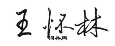 駱恆光王懷林行書個性簽名怎么寫