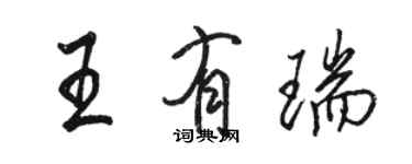 駱恆光王有瑞行書個性簽名怎么寫