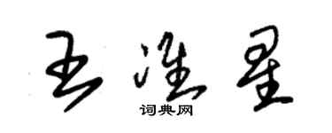 朱錫榮王準星草書個性簽名怎么寫