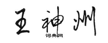 駱恆光王神州行書個性簽名怎么寫