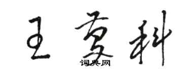 駱恆光王慶科草書個性簽名怎么寫