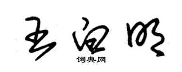 朱錫榮王白明草書個性簽名怎么寫