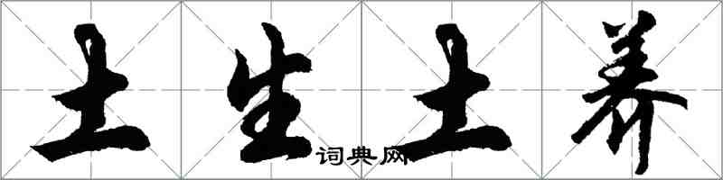 胡問遂土生土養行書怎么寫