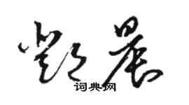 駱恆光鄧晨草書個性簽名怎么寫